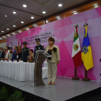 Actividades del XLVIII Congreso Nacional Guadalajara 2017.