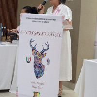 LV Congreso Nacional: Mesas de trabajo e Informes
