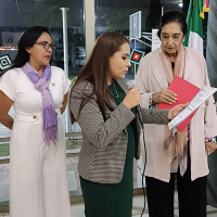 Nace Club Nayarit de Mujeres Profesionistas de Negocios por México
