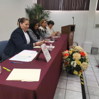 Perspectivas sobre las mujeres en México: Historia, administración pública y participación política.